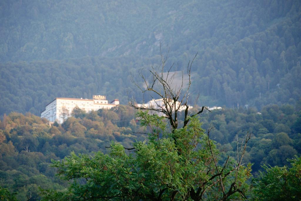 אסטו-סדוק Snegiri Village Chalet מראה חיצוני תמונה